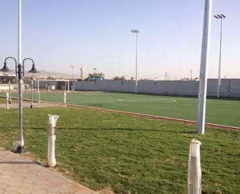 picture70-67d4d8b811f62