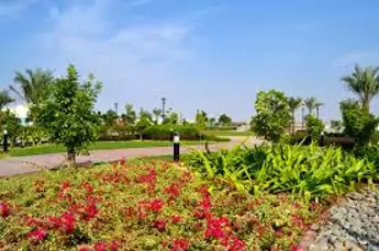picture71-67d4d8f76352e