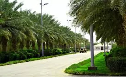 picture74-67d4d8f84c50b